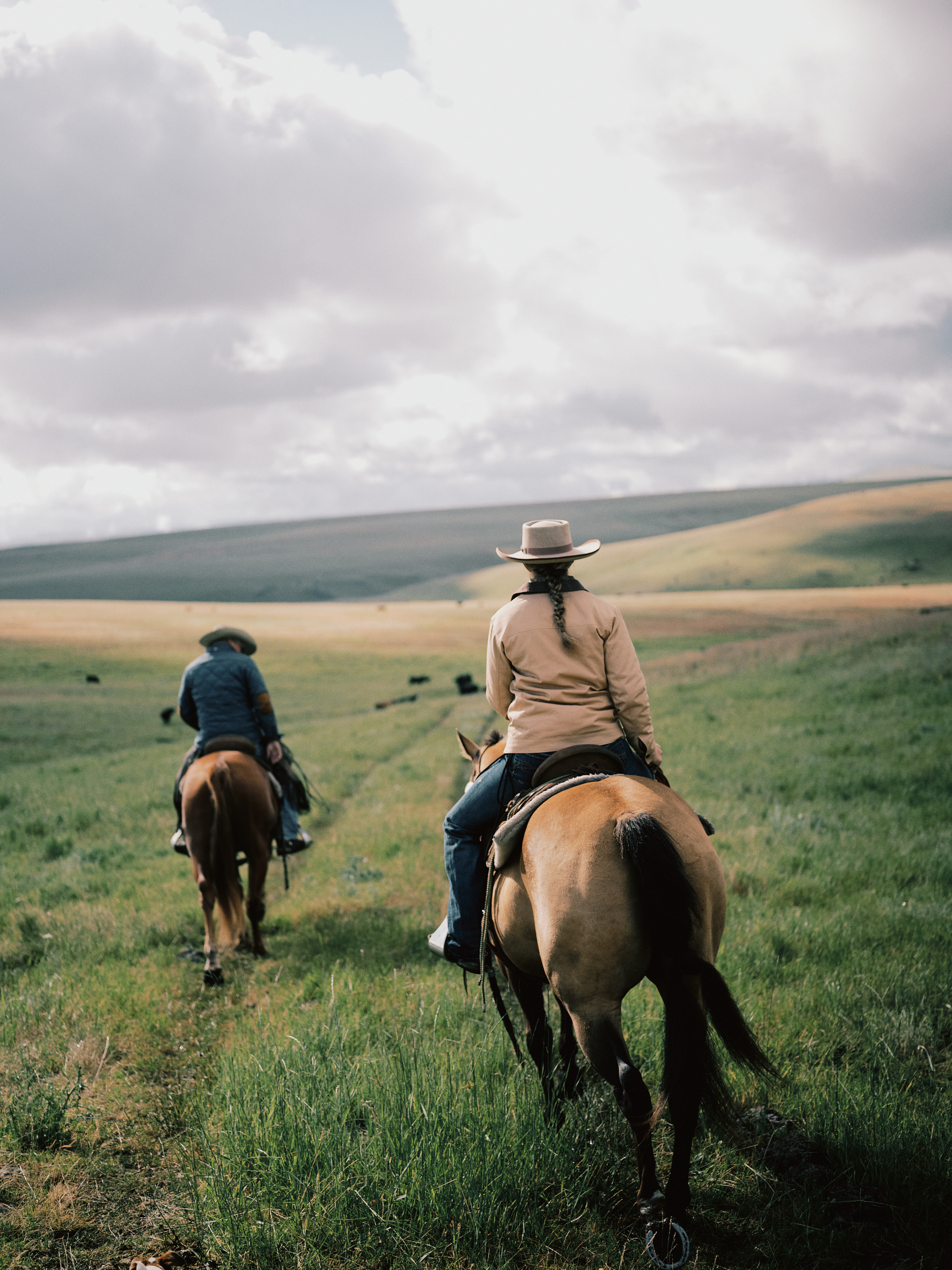 The Dawn of American Ranching